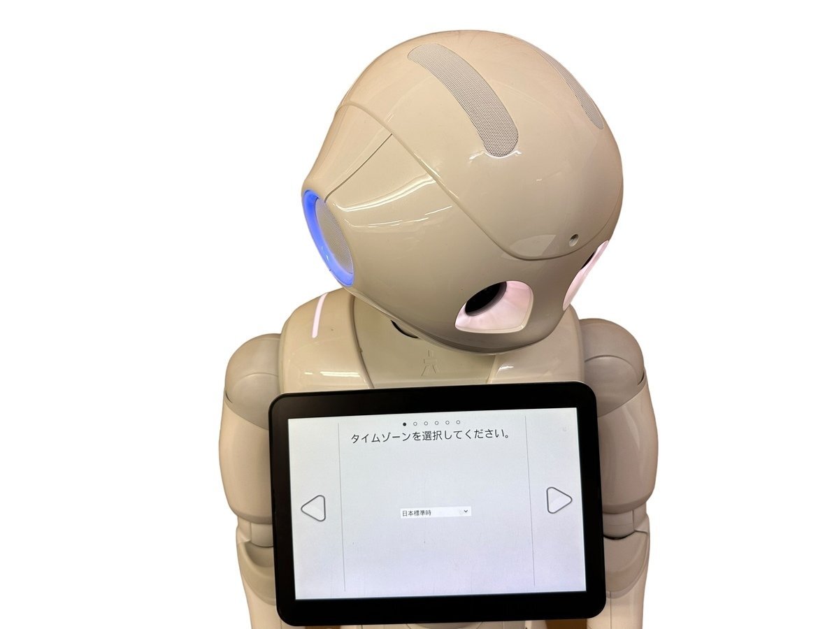 美品 Softbank ソフトバンク Pepper ペッパー ロボット 付属 外箱 充電器 説明書類 大容量バッテリー 人型ロボット 121cm 容量30.0Ah 795Whの画像6