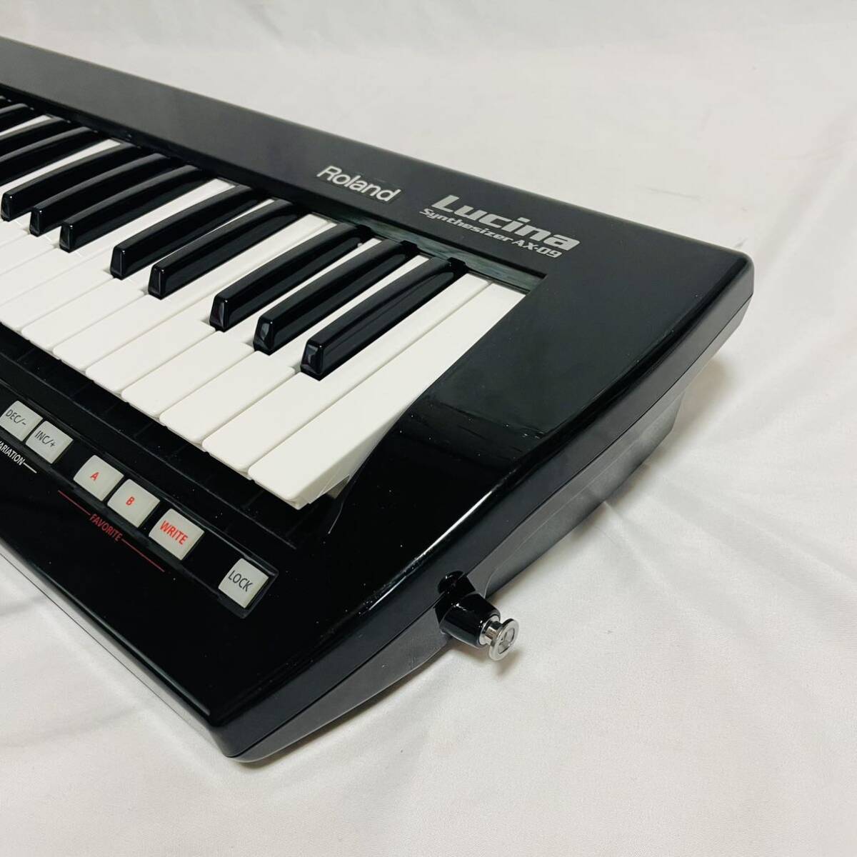 Roland Lucina AX-09 ショルダーキーボード