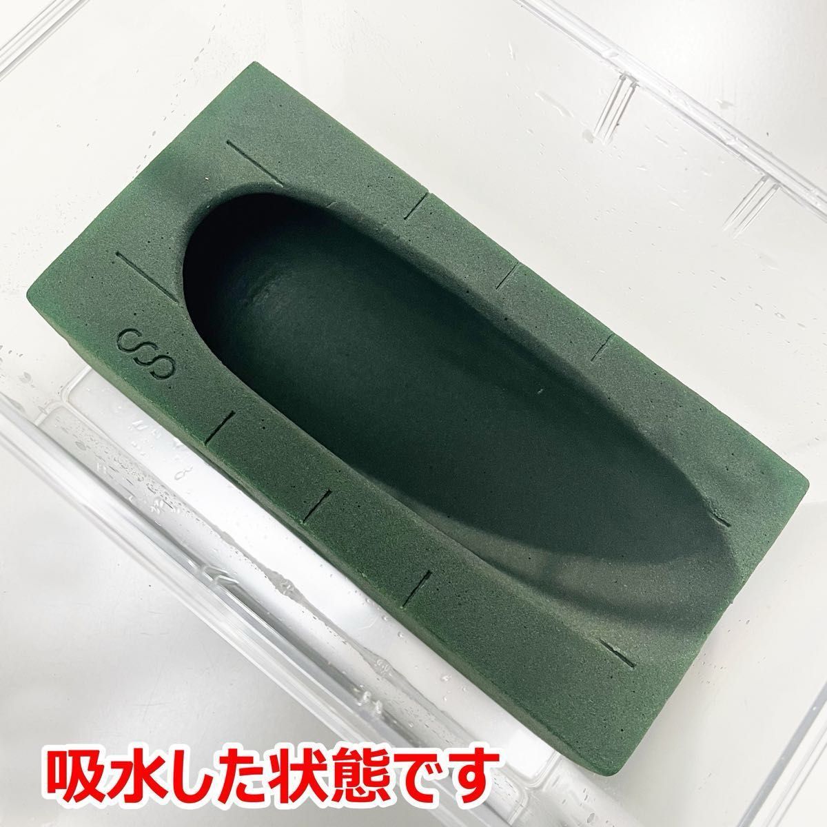 人工蛹室　吸水スポンジ 　1個　外国産カブトムシ・ヘラクレスオオカブトに最適！！