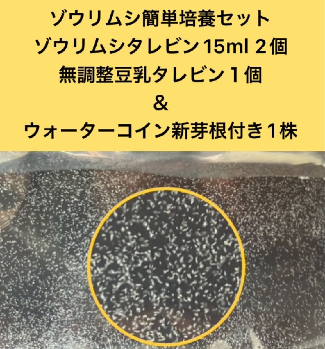 ゾウリムシ簡単培養セット ゾウリムシタレビン15ml 2個&無調整豆乳タレビン1個＆無農薬ウォーターコイン新芽根付き1株