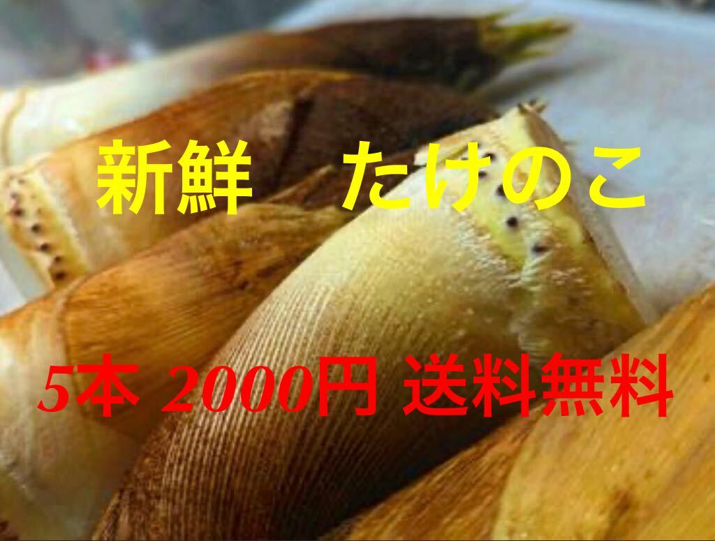  меньше побеги бамбука быстрое решение 2000 иен бесплатная доставка 