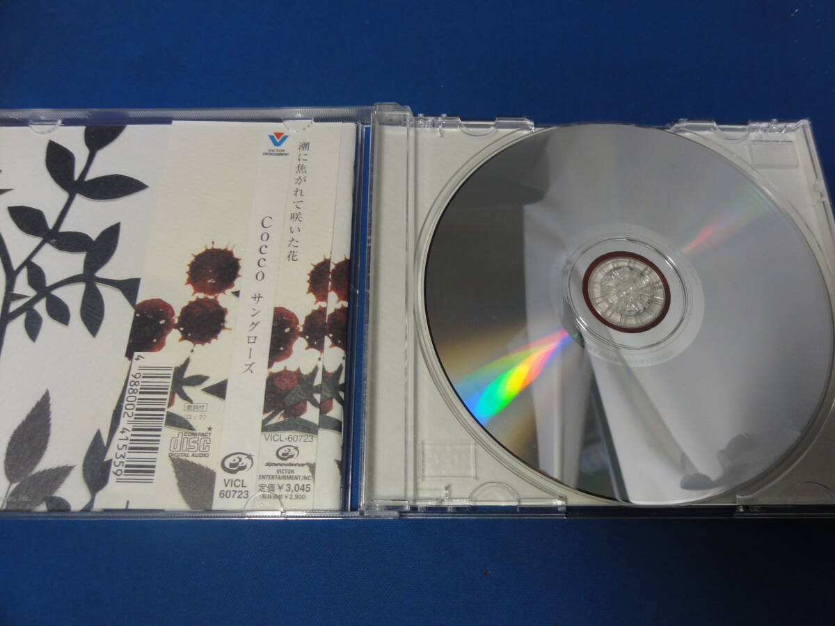 Cocco/サンタクローズ　CD★USED★_画像4