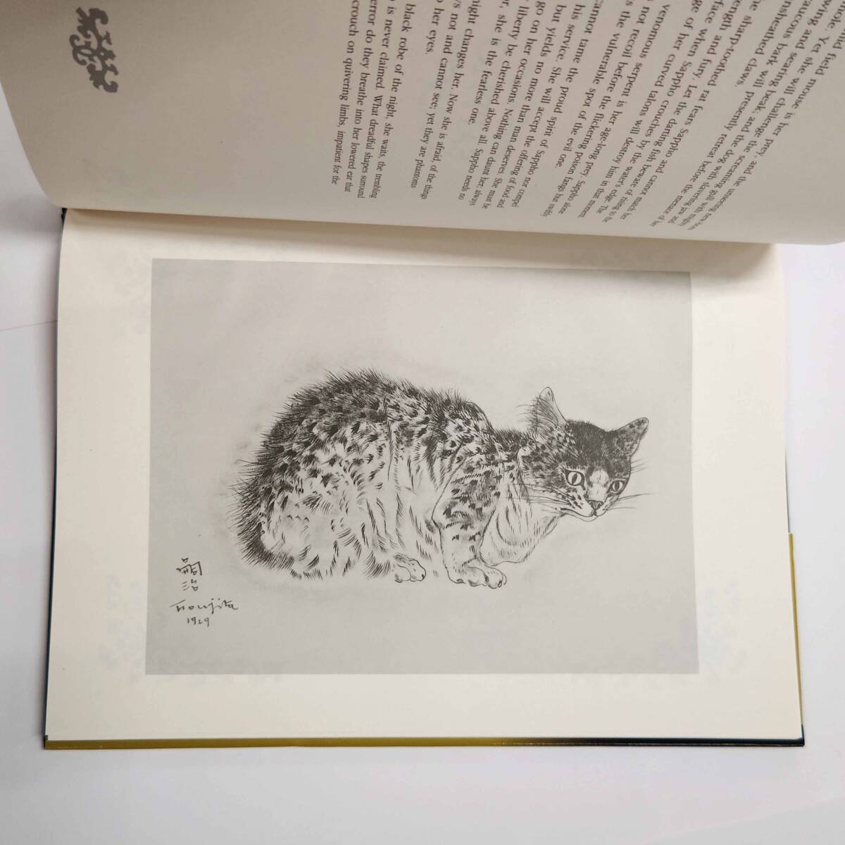 ★貴重本★『 A Book of Cats』猫の本 藤田嗣治（レオナール・フジタ）/ Michael Josephの画像5