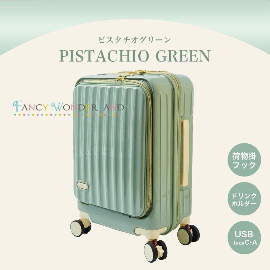 [ goods with special circumstances ] front open machine inside bringing in small size Carry case business business trip ty2309-s S size pistachio green (W)[012]