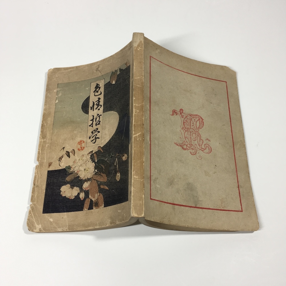 1244：色情哲学　甲田良造　金港堂　恋愛論　一夫一婦制　明治24_画像6