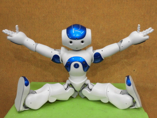 [A19302] SoftBank Robotics Nao ヒューマノイドロボット ▼現状品 通電確認のみ パーツ取りや研究用に・・・の画像10