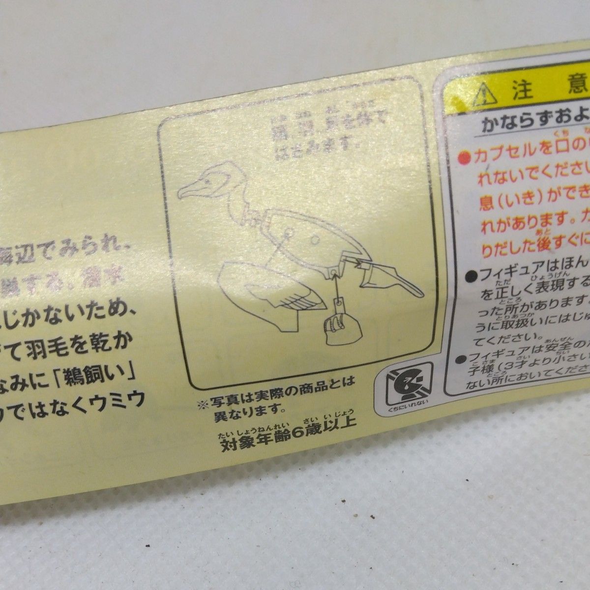チョコエッグ日本の動物６　　　　　　カワウ