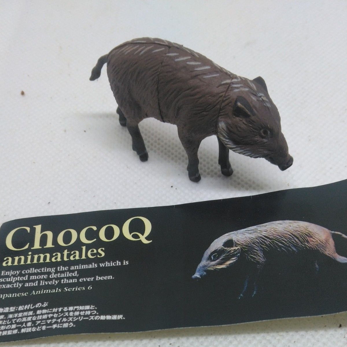 チョコエッグ日本の動物６　　　　　　リュウキュウイノシシ