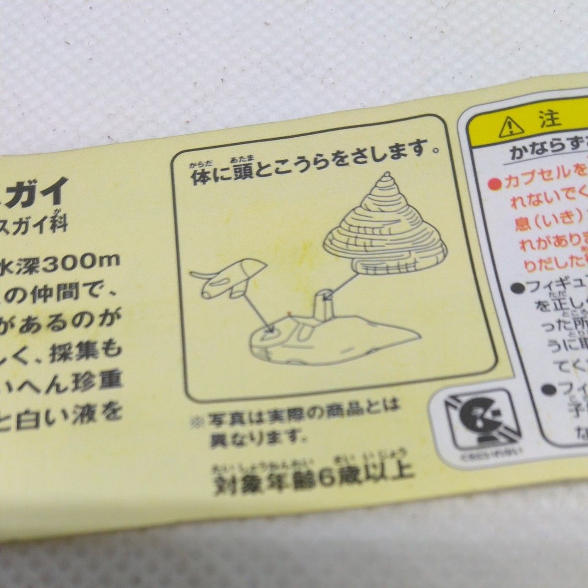 チョコエッグ日本の動物６　　　　　　オキナエビスガイ