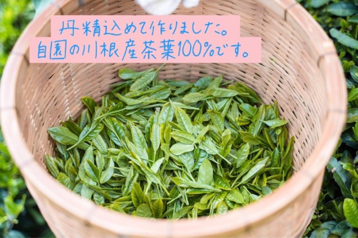 川根茶べにふうき緑茶粉末 70g×3個セット