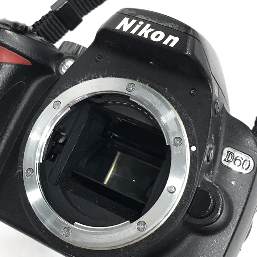 Nikon D60 AF-S NIKKOR 55-200mm 1:4.5-5.6G ED デジタル一眼レフ デジタルカメラ レンズの画像8