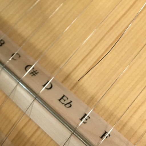 1円 ヘルマンハープ 25弦 エントリーモデル Mタイプ ケース付き 弦楽器 Hermann Veehの画像6