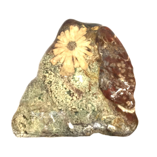 菊花石 重量10.29ｋｇ インテリア 置物 飾り石の画像2