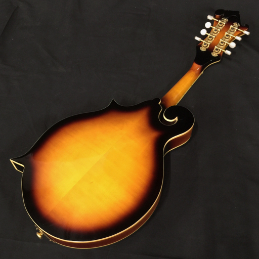 フラットマンドリン 電子バイオリン 弦楽器 出音確認済み ケース付き 2点セットの画像6