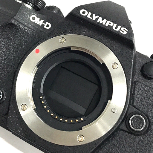 1円 OLYMPUS OM-D E-M5 Mark II M.ZUIKO DIGITAL 14-150mm 1:4-5.6 ミラーレス一眼 デジタルカメラ L162005_画像9