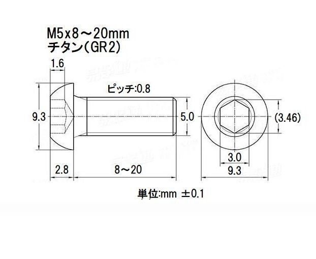 チタンボルト(GR-2) M5x12mm 10本