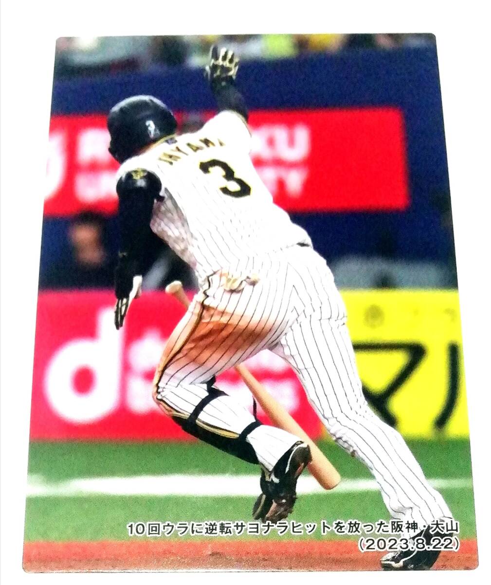 2024 第1弾 チェックリスト 【C-01】 大山悠輔 阪神タイガース ★ カルビープロ野球チップス カードの画像3