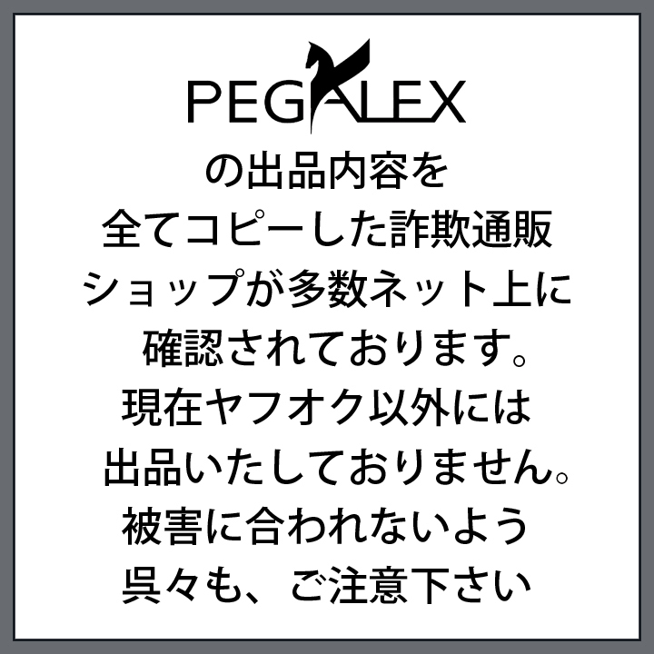 最終在庫★ブルーノートを聴くならビンテージ設計のPEGASUS JAZZ 100dB真空管アンプにはこれ一択 口径20cmフルレンジスピーカー ユニット の画像5