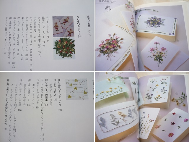 ヤフオク 小さな花の押し花 カードのデザイン300 大沢節 ヤフオク 小さな花の押し花 カードのデザイン300 大沢節