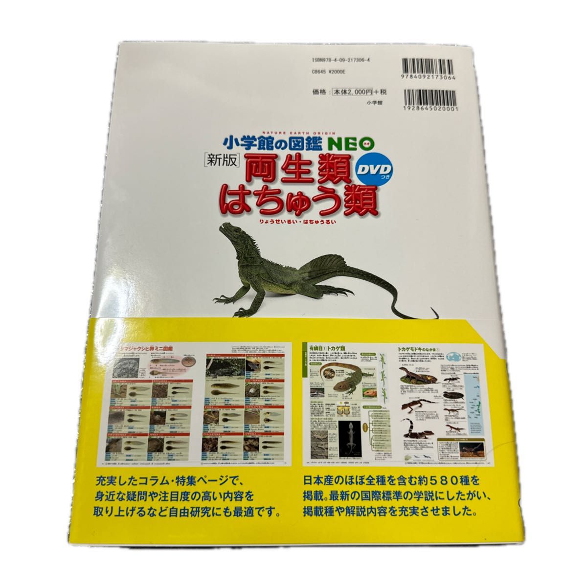 小学館の図鑑NEO 両生類・はちゅう類 DVDなし