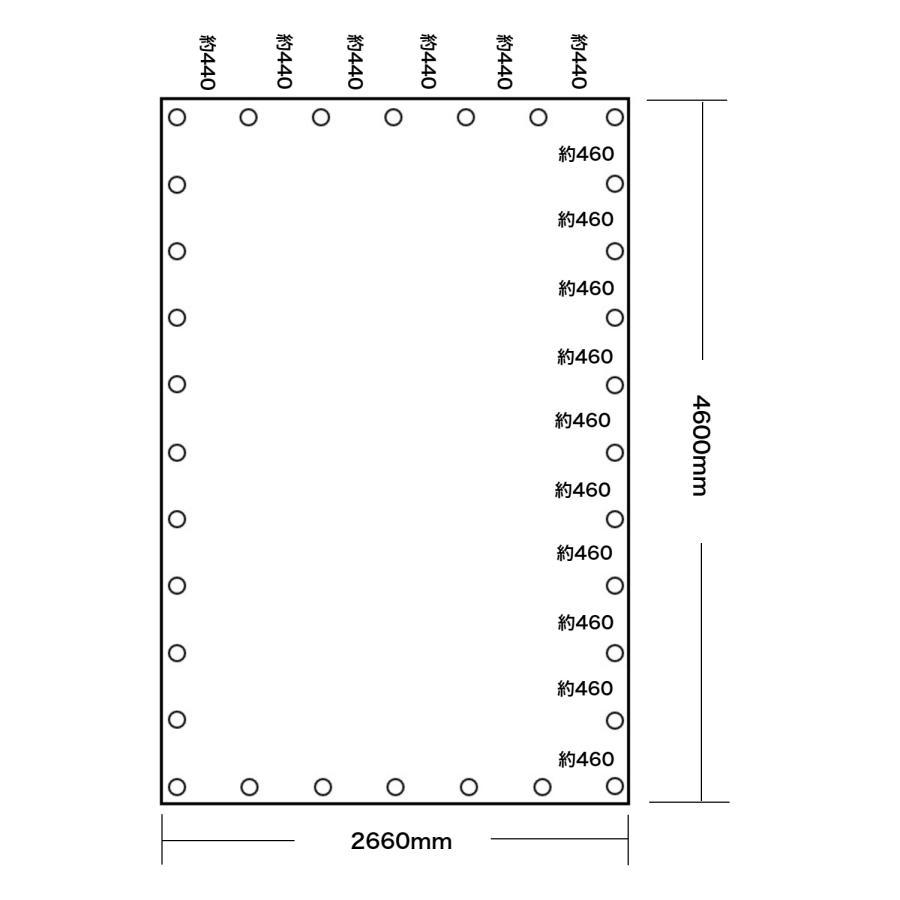 バンジーコード 10本付 トラックシート グリーン 2tトラック 2.66m×4.6m 荷台カバー 厚手 荷台シート ◆本州四国九州送料無料！ ◆の画像4