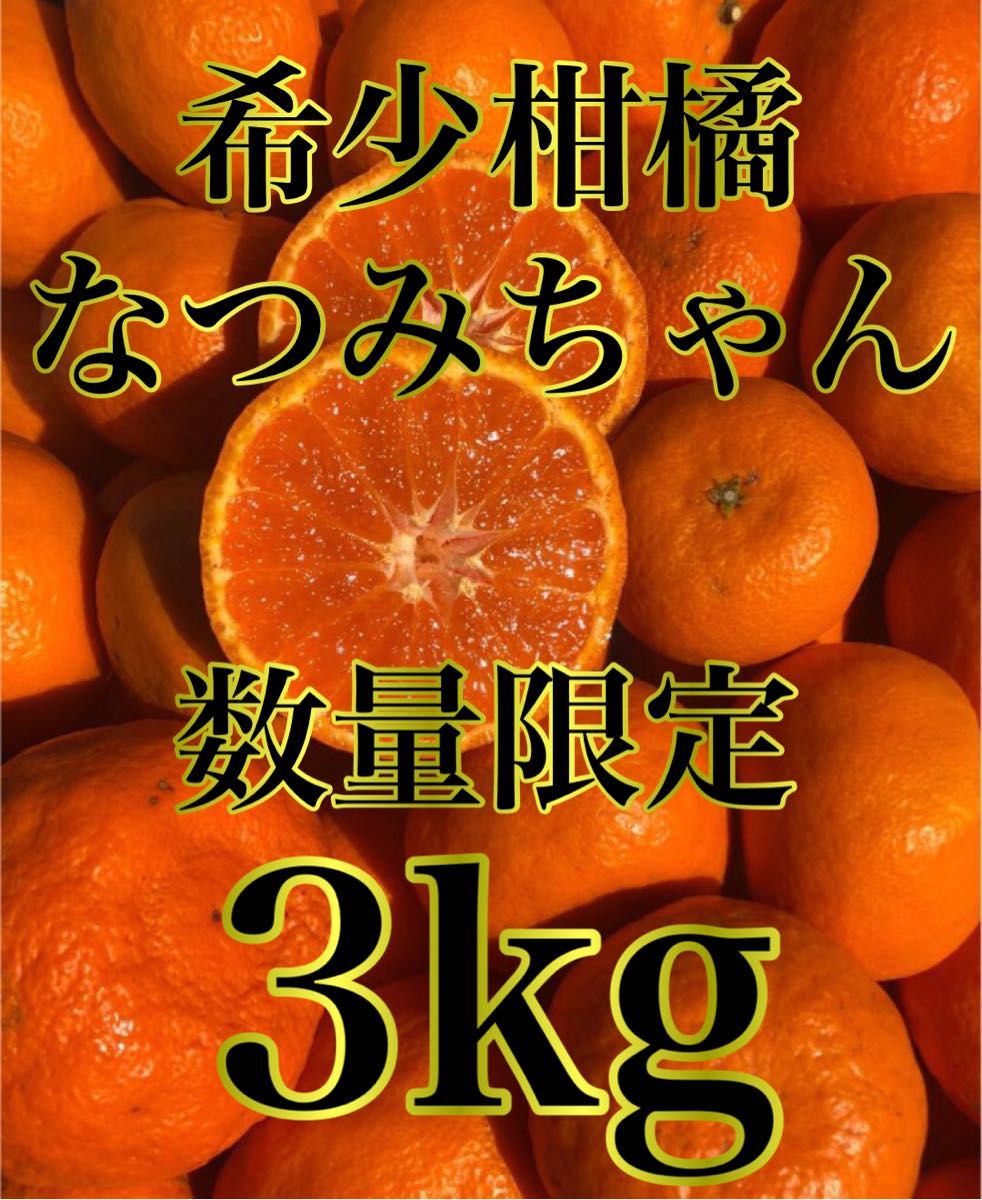 愛媛県産みかん なつみ 箱別3kg 柑橘 ミカン 果物