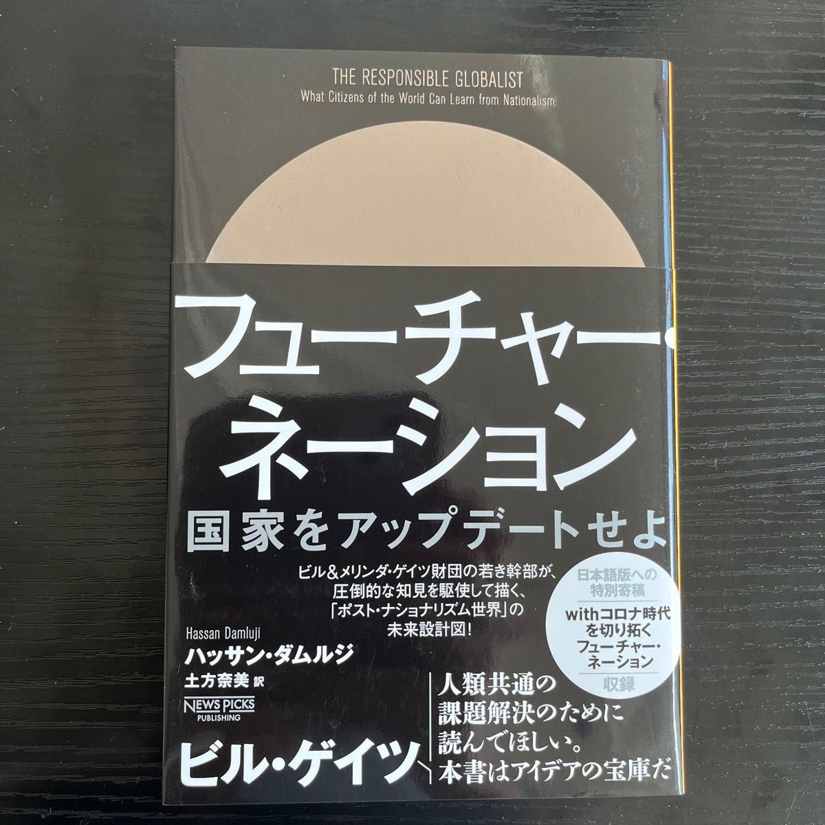 フューチャー・ネーション　国家をアップデートせよ ハッサン・ダムルジ／著　土方奈美／訳