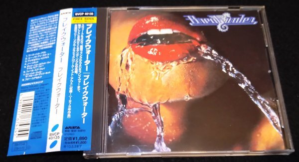 Breakwater / Breakwater★国内盤・帯・和訳　ブレイクウォーター　フリー・ソウル　ファンク　AOR　Work It Out♪　No Limit♪_画像1