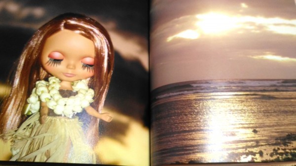 ブライス 語りつづけるハワイの娘たち★BLYTHE　HAWAII　ジュンコ・ウォング　ドール　人形_画像6