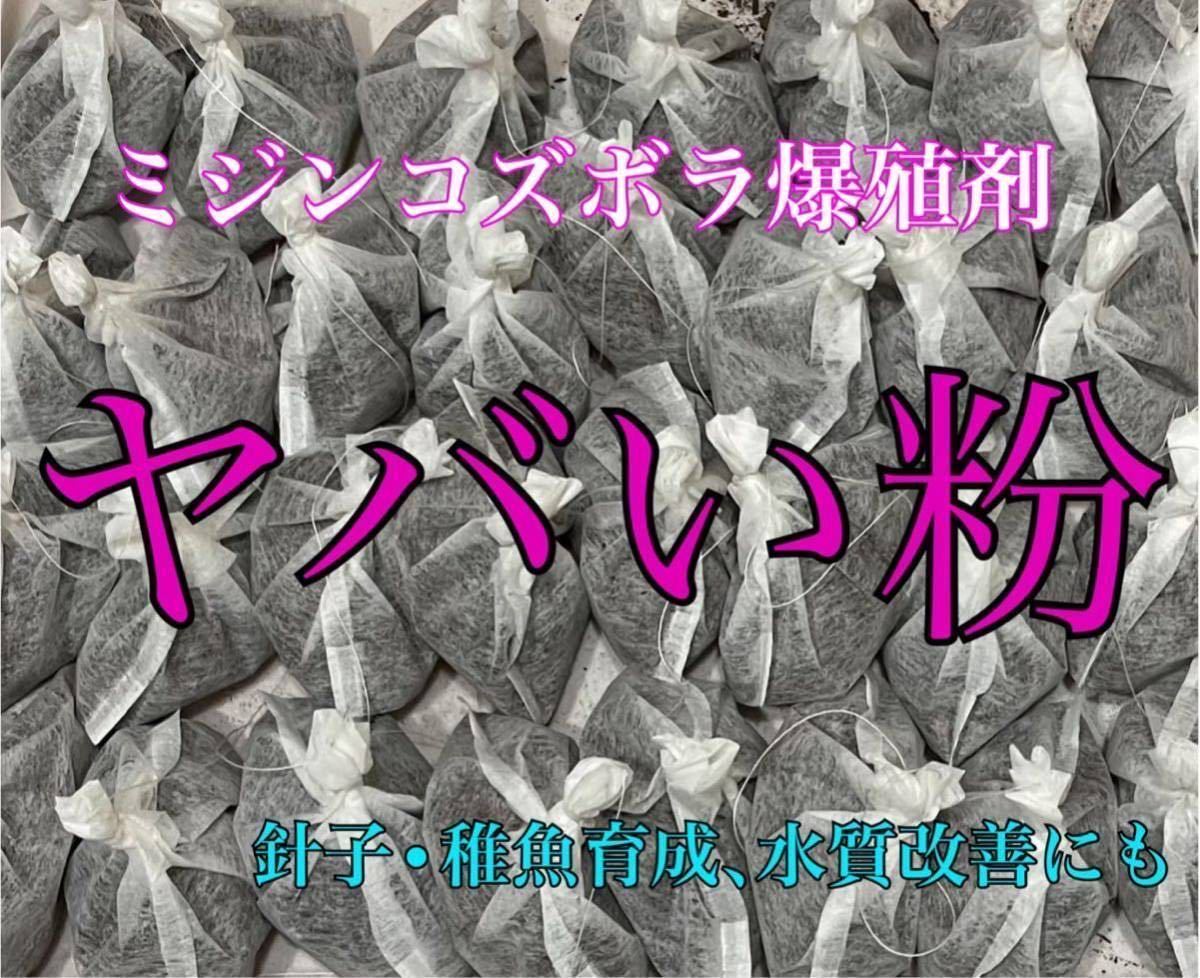  сырой хлорелла и т.п. не необходимо [. оризия Osaka ]mi Gin kozbola...yaba. мука 1 departure * Moina macrocopa Thai likmi Gin ko oo mi Gin ko. размножение. оризия выращивание .!