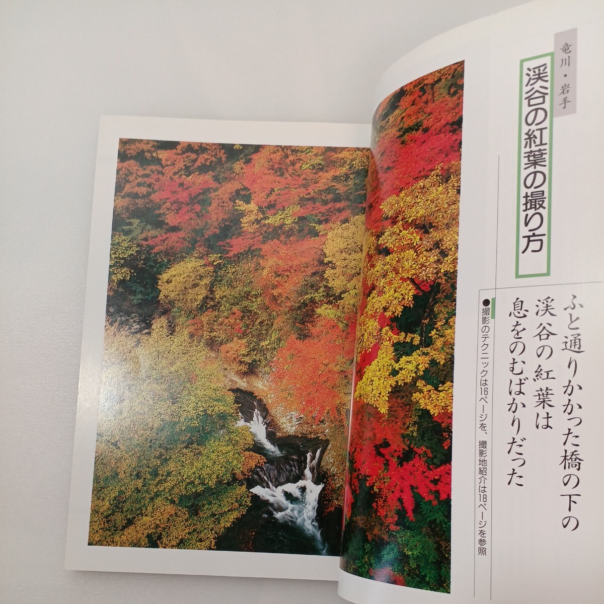 zaa-563♪春の花撮影術 プロ写真家が伝授する桜の撮り方と露出テクニック＋紅葉を撮るカメラワーク―秋の紅葉の写真が上手になる 2冊セット_画像8