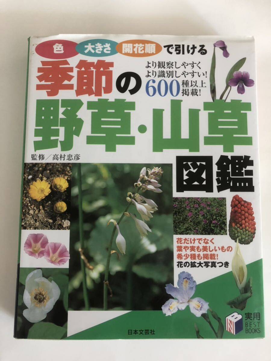  season. wild grasses * mountain . illustrated reference book 600 kind and more publication height ... day text . company 