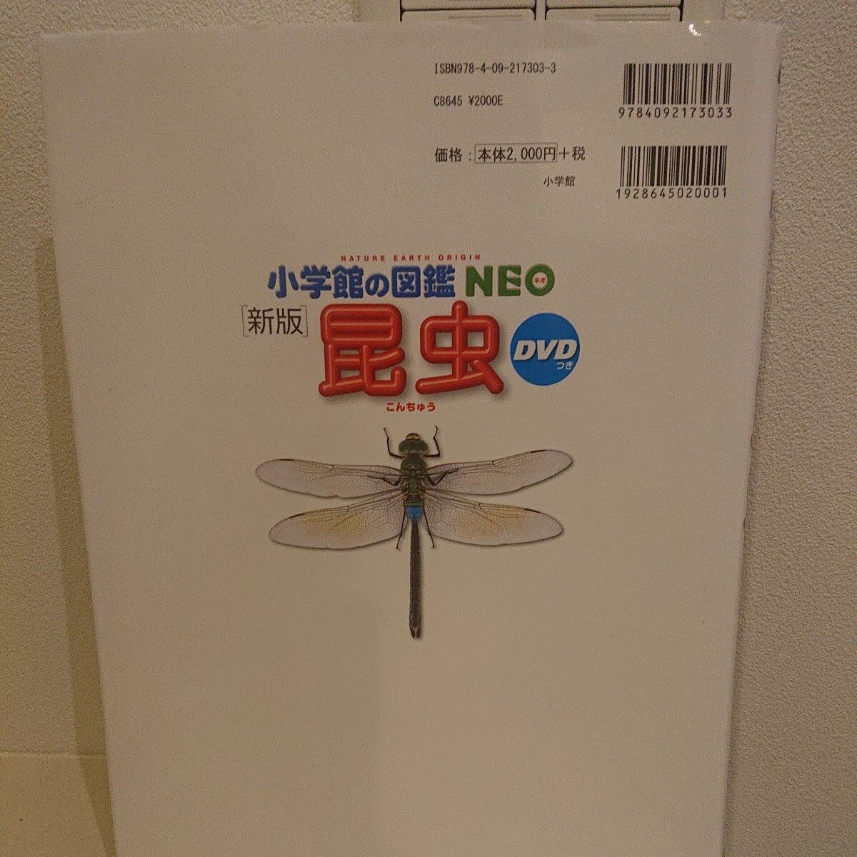 DVD付 新版 昆虫 (小学館の図鑑 NEO) _画像2