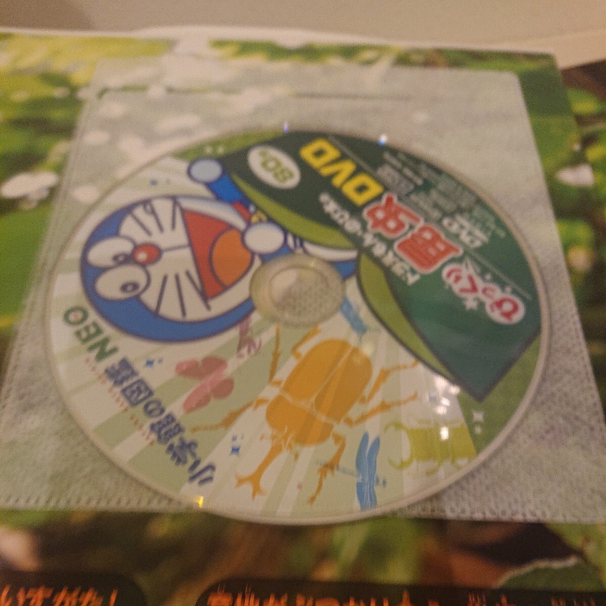 DVD付 新版 昆虫 (小学館の図鑑 NEO) _画像3