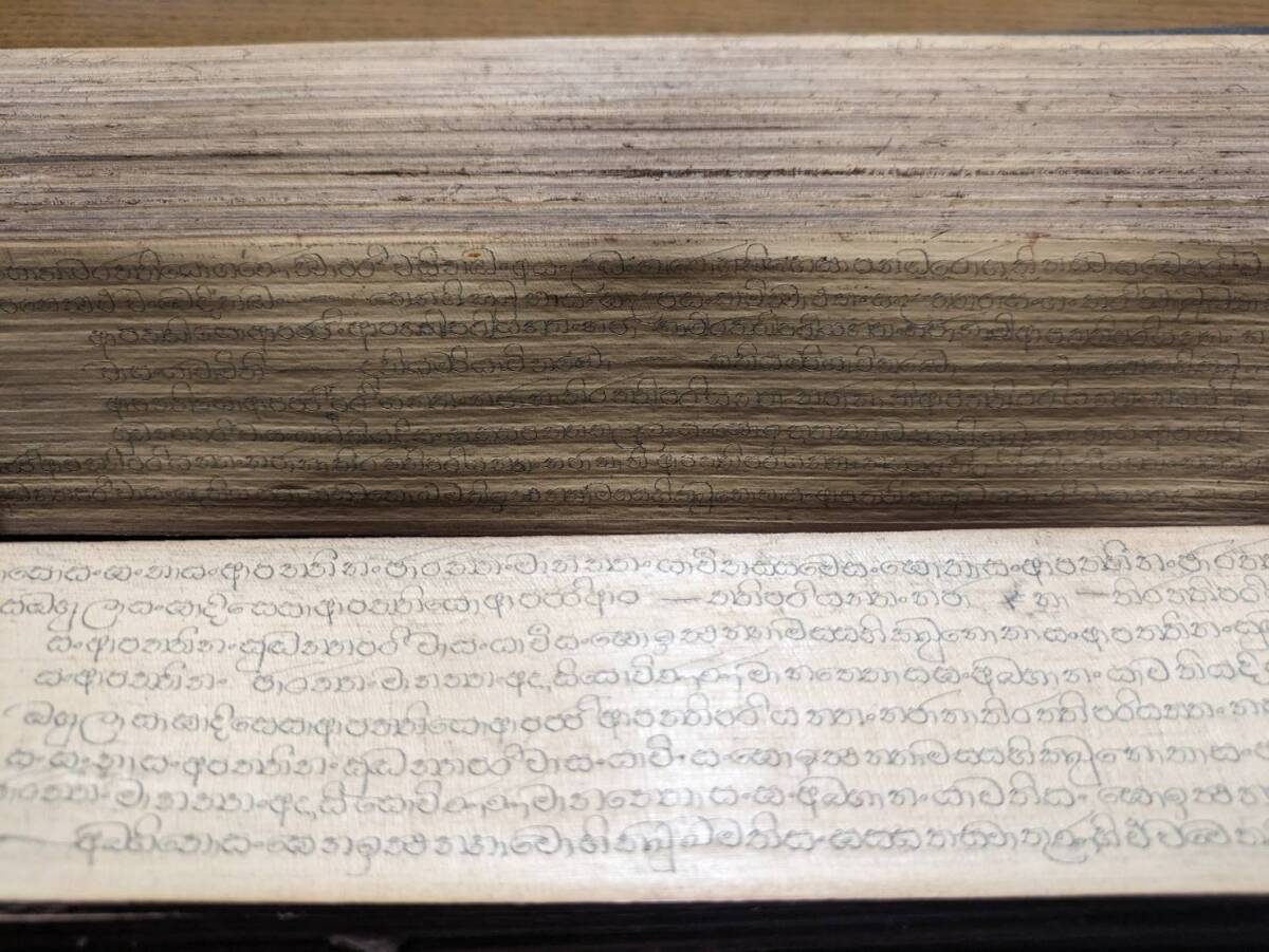 サンスクリット経典(貝葉経)古筆 古文書 古写本 仏教経典 歴史資料の画像3