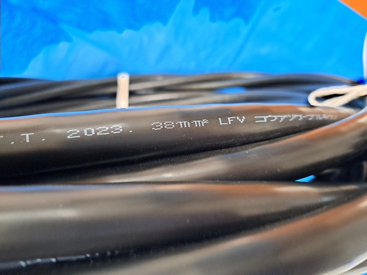 高圧ケーブル 6KV CVT38sq(EEタイプ)10m 2023年製 HS&T 高圧ケーブル 6KV CVT38sq(EEタイプ)10m 2023年製 HS&T