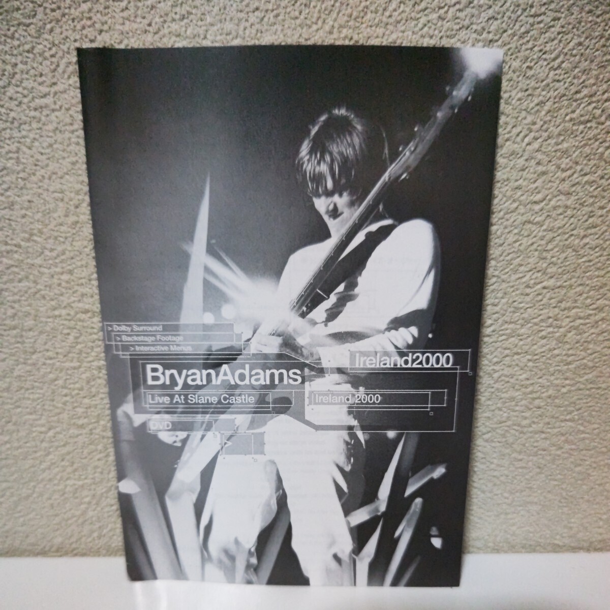 ブライアン・アダムス/ライヴ・アット・スレイン・キャッスル 2000 国内盤DVDの画像5