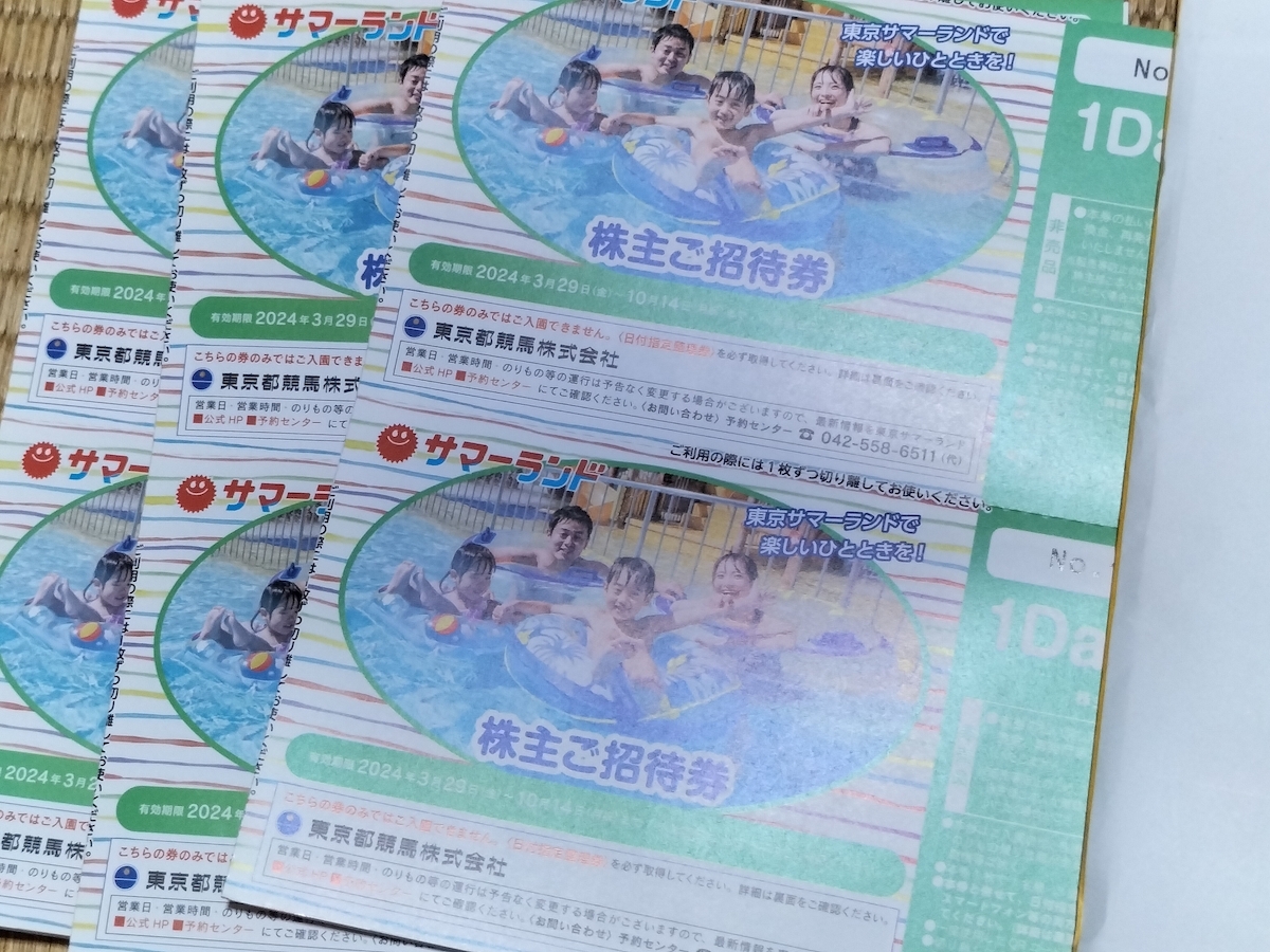 Акционеры столичных гонок в Токио Специальное удовольствие Токио Саммерленд 1Day Pass (Акционерный билет) 1-9 штук (доставка: мини-буквы 63 иена ~) +Бонус