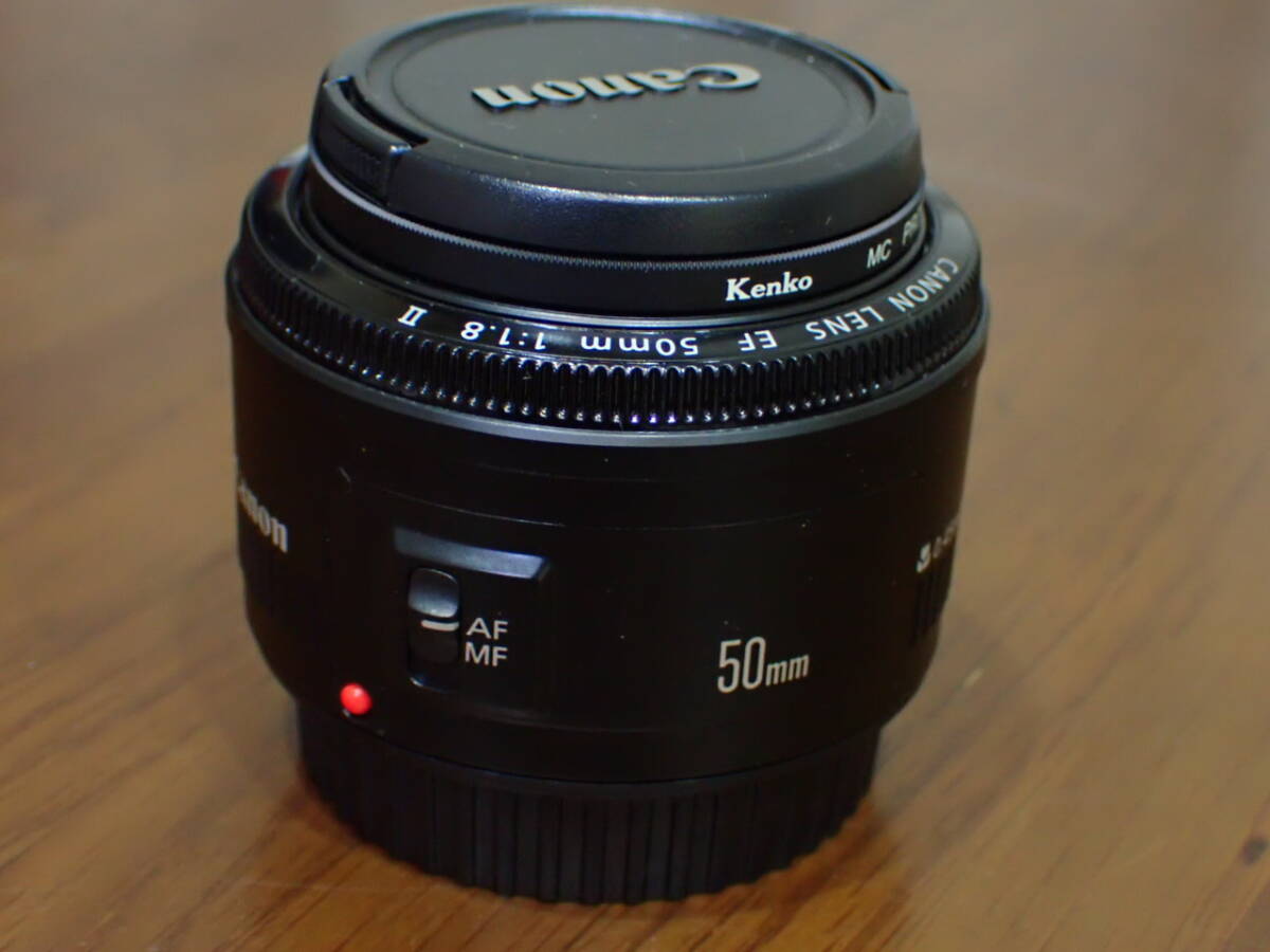 ★超美品★ キヤノン EF50mm F1.8Ⅱ 動作良好!・単焦点標準、小型軽量の明るいレンズ!