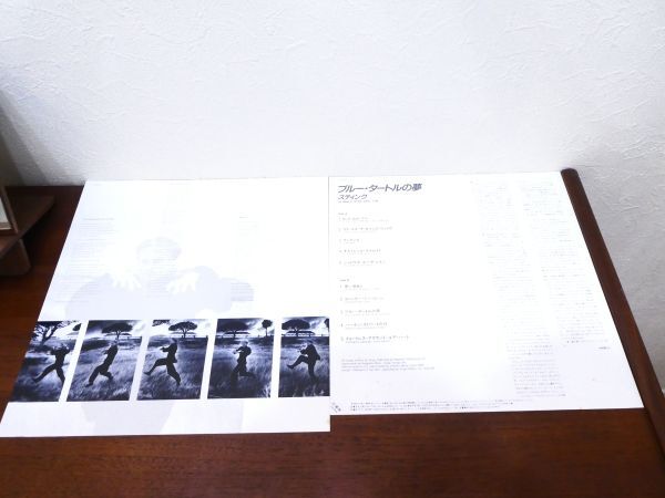 S) STING スティング「 THE DREAM OF BLUE TURTLE / ブルー・タートルの夢 」 LPレコード 帯付き C28Y3009 @80 (R-1)の画像3