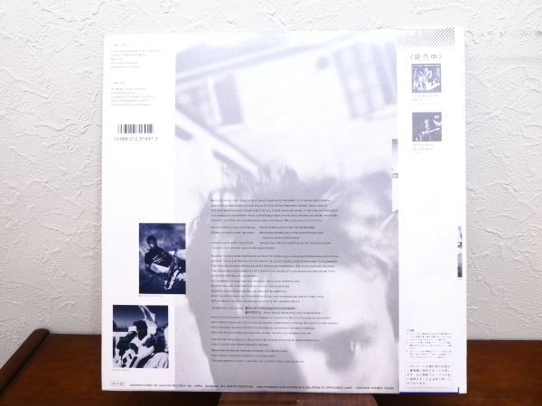 S) STING スティング「 THE DREAM OF BLUE TURTLE / ブルー・タートルの夢 」 LPレコード 帯付き C28Y3009 @80 (R-1)の画像2