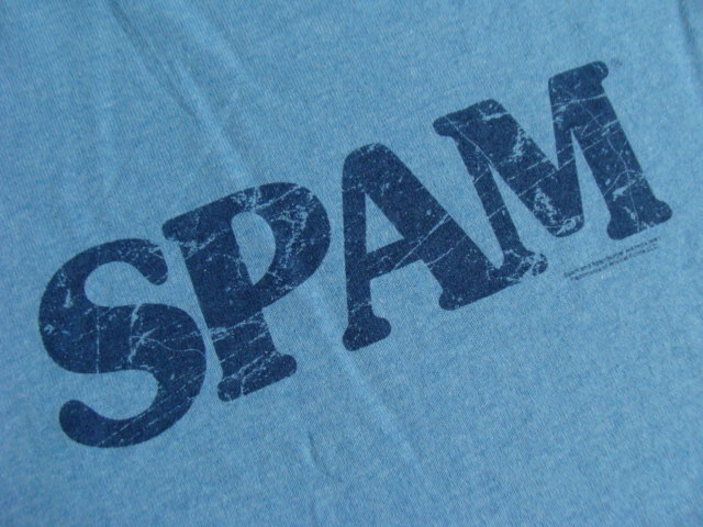 US古着 SPAM スパム ロゴプリント リンガーTシャツ 杢ブルー (M)【ネコポス可能】の画像4