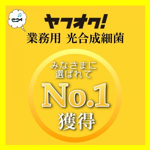 絶好調★PSBの素200ml が100Lの光合成細菌に ★ 自分でふやしてPSBを使う濃縮光合成細菌の培養エサ餌料培基えさ_画像2