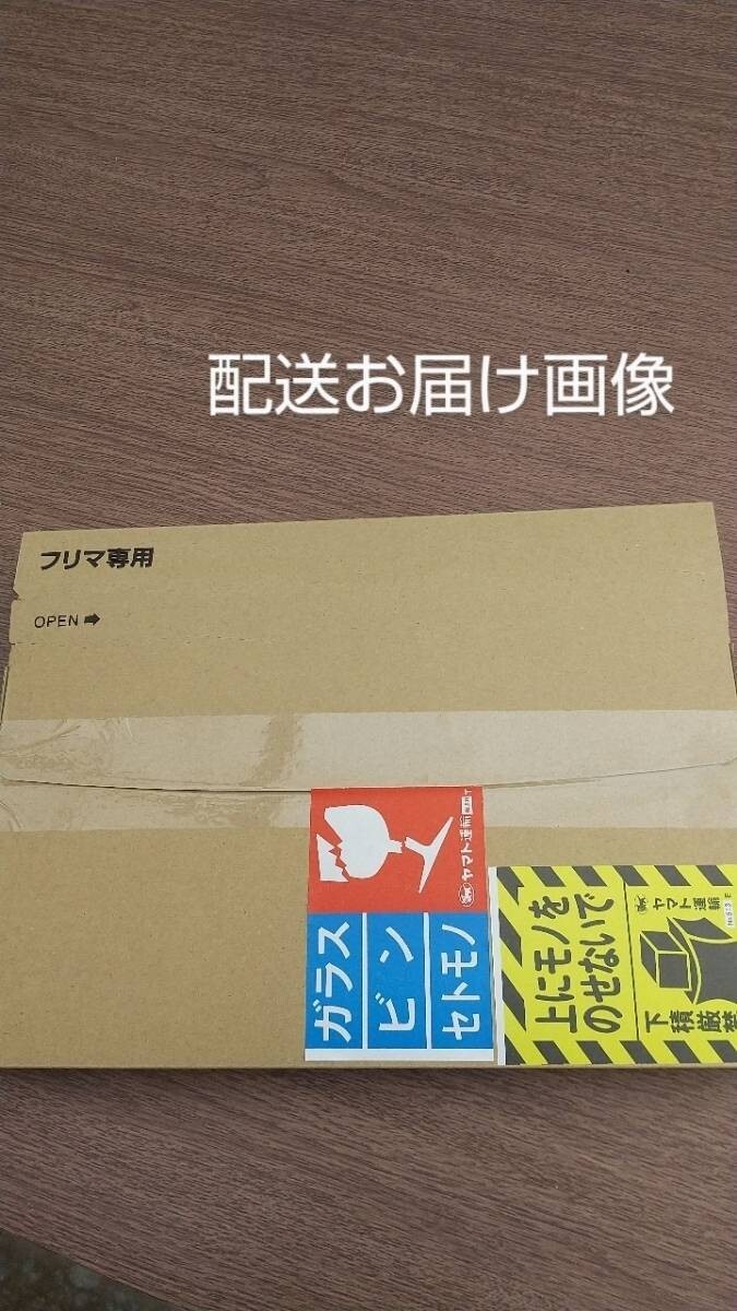 森村マンネングサ☆30×25cmサイズポスト投函おてがる配送ネコポス便の画像8