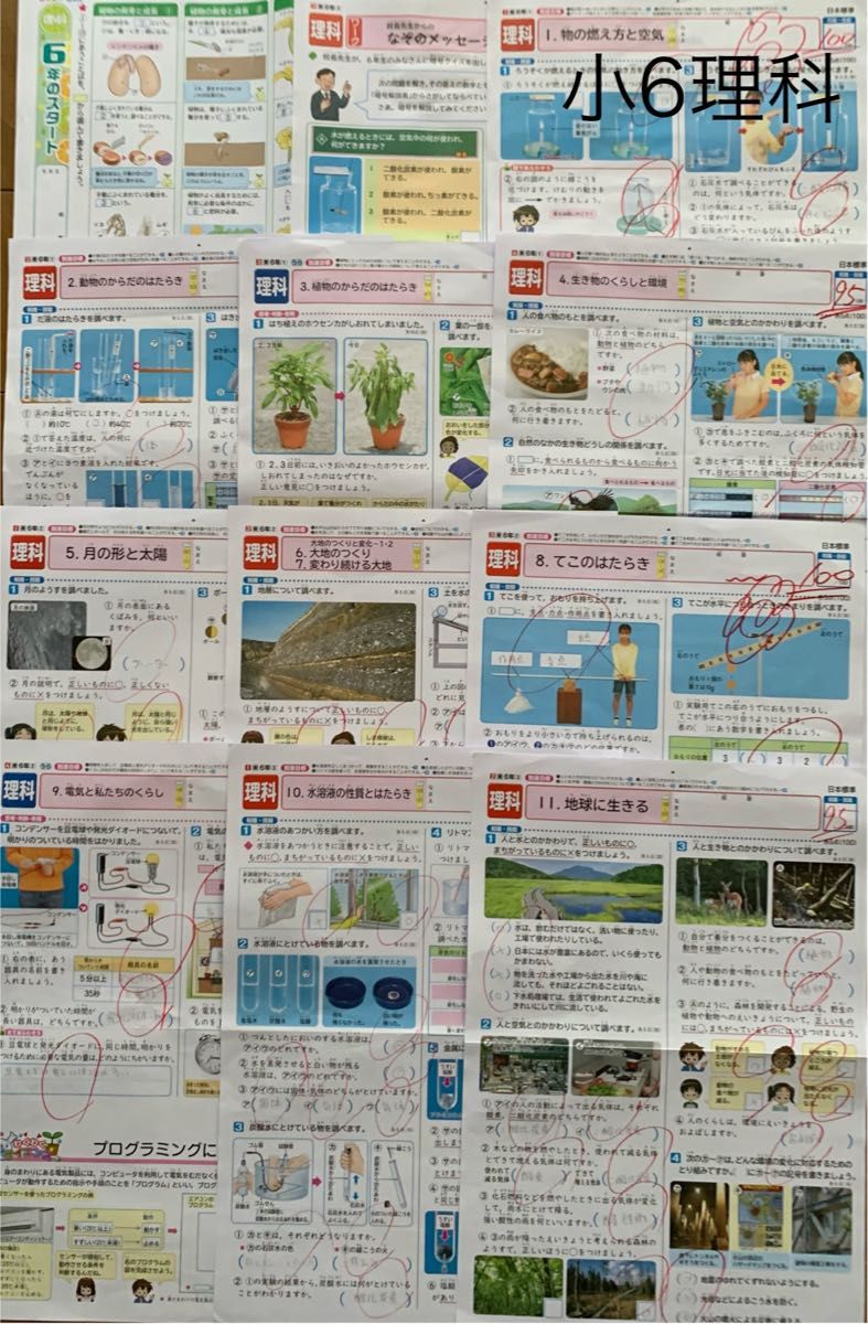 小6年 理科 カラーテスト (教科書 東京書籍)|Yahoo!フリマ(旧 小6年 理科 カラーテスト (教科書 東京書籍)|Yahoo!フリマ(旧