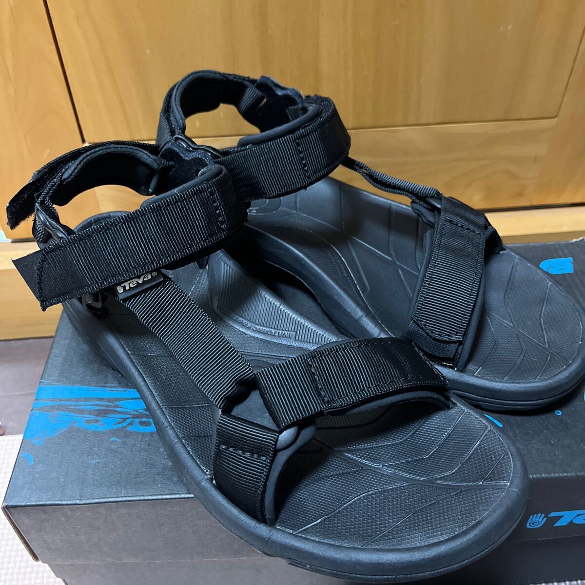 Teva TERRA FI LITE 27.0cm(US9)