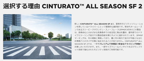 235/40R18 95Y XL 1本 ピレリ CintuRato ALL SEASON SF2 オールシーズン オールシーズン 235/40-18 送料無料_画像2