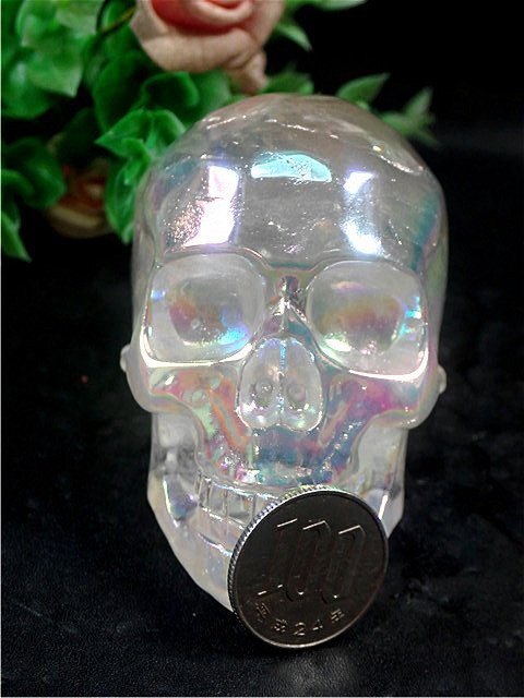  super beautiful a- can so- production Rainbow o-la... skeleton 179U8-65U68b