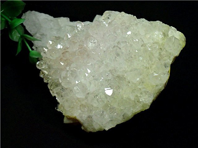 AAA級天然菊花水晶クラスター177B6-76B98Zの画像3