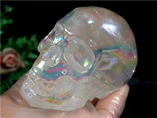  super beautiful a- can so- production Rainbow o-la... skeleton 179U8-65U68b